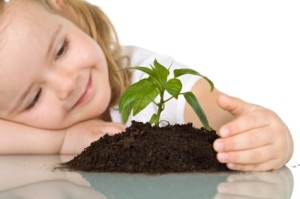 Little girl looking at a young plant wondering - closeup, isolated